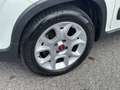 Fiat Panda 0.9 t.air t. natural power Trekking 80cv Bianco - thumbnail 5