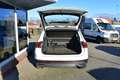 Volkswagen Tiguan 2.0 TDI SCR Elegance LED-Scheinwerfer Navi Alu Sit Blanco - thumbnail 4