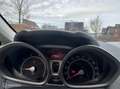 Ford Fiesta 1.25 Titanium/NAP/APK/LMV/AC/KOOPJE Grijs - thumbnail 20
