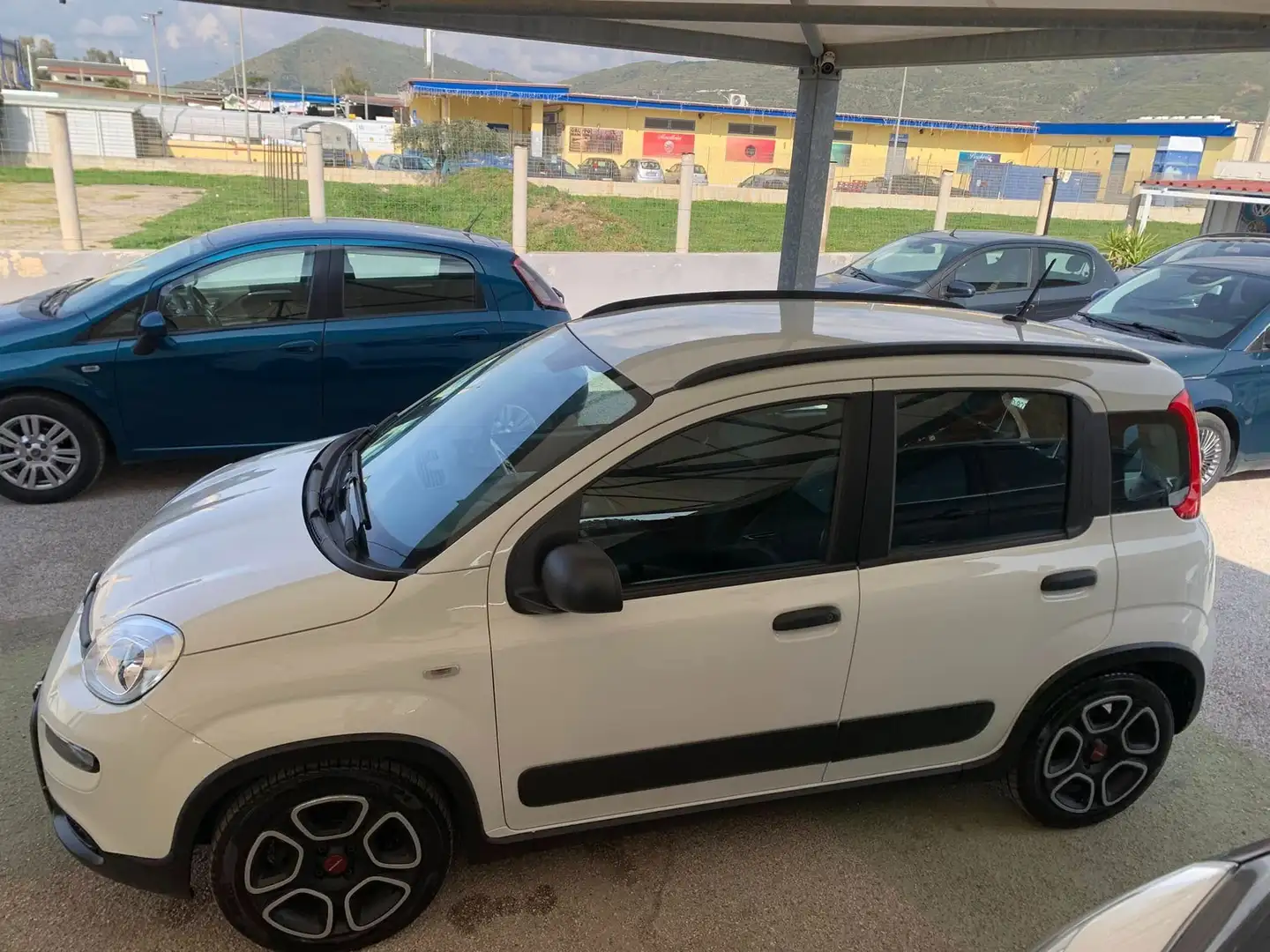 Fiat Panda Panda III 2021 1.0 firefly hybrid City Life s - 2