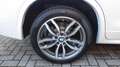 BMW X4 xDrive30dA 258CV Msport Blanc - thumbnail 46