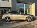 Maserati Levante Levante 3.0 V6  350 AWD Gransport Gris - thumbnail 6