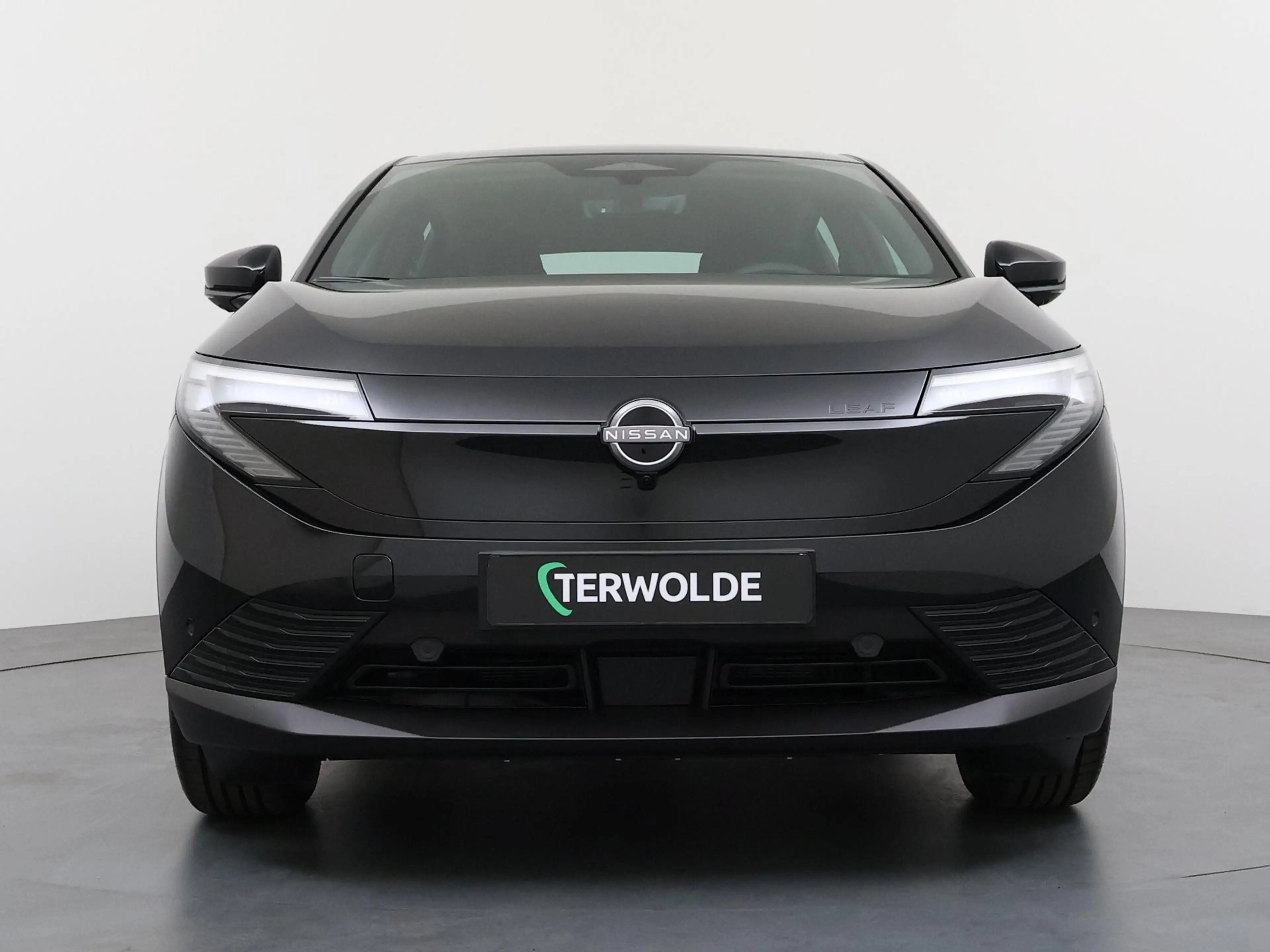 Nissan Leaf Engage Plus 75 kWh — photo 2