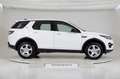 Land Rover Discovery Sport 2.0 ed4 SE 2wd 150cv Bianco - thumbnail 5