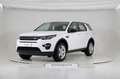 Land Rover Discovery Sport 2.0 ed4 SE 2wd 150cv Bianco - thumbnail 1