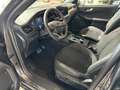 Ford Kuga 2,5 Duratec FHEV ST-Line X Aut. Grau - thumbnail 3