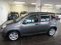 Fiat Panda Panda 1.0 FireFly S&S Hybrid Gris - thumbnail 2