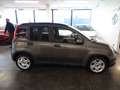 Fiat Panda Panda 1.0 FireFly S&S Hybrid Gris - thumbnail 6
