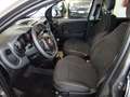 Fiat Panda Panda 1.0 FireFly S&S Hybrid Gris - thumbnail 10