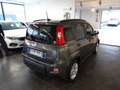 Fiat Panda Panda 1.0 FireFly S&S Hybrid Gris - thumbnail 5
