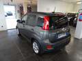 Fiat Panda Panda 1.0 FireFly S&S Hybrid Gris - thumbnail 3