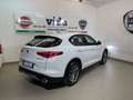 Alfa Romeo Stelvio 2.2 Turbodiesel 190 CV AT8 Q4 Business Bianco - thumbnail 2