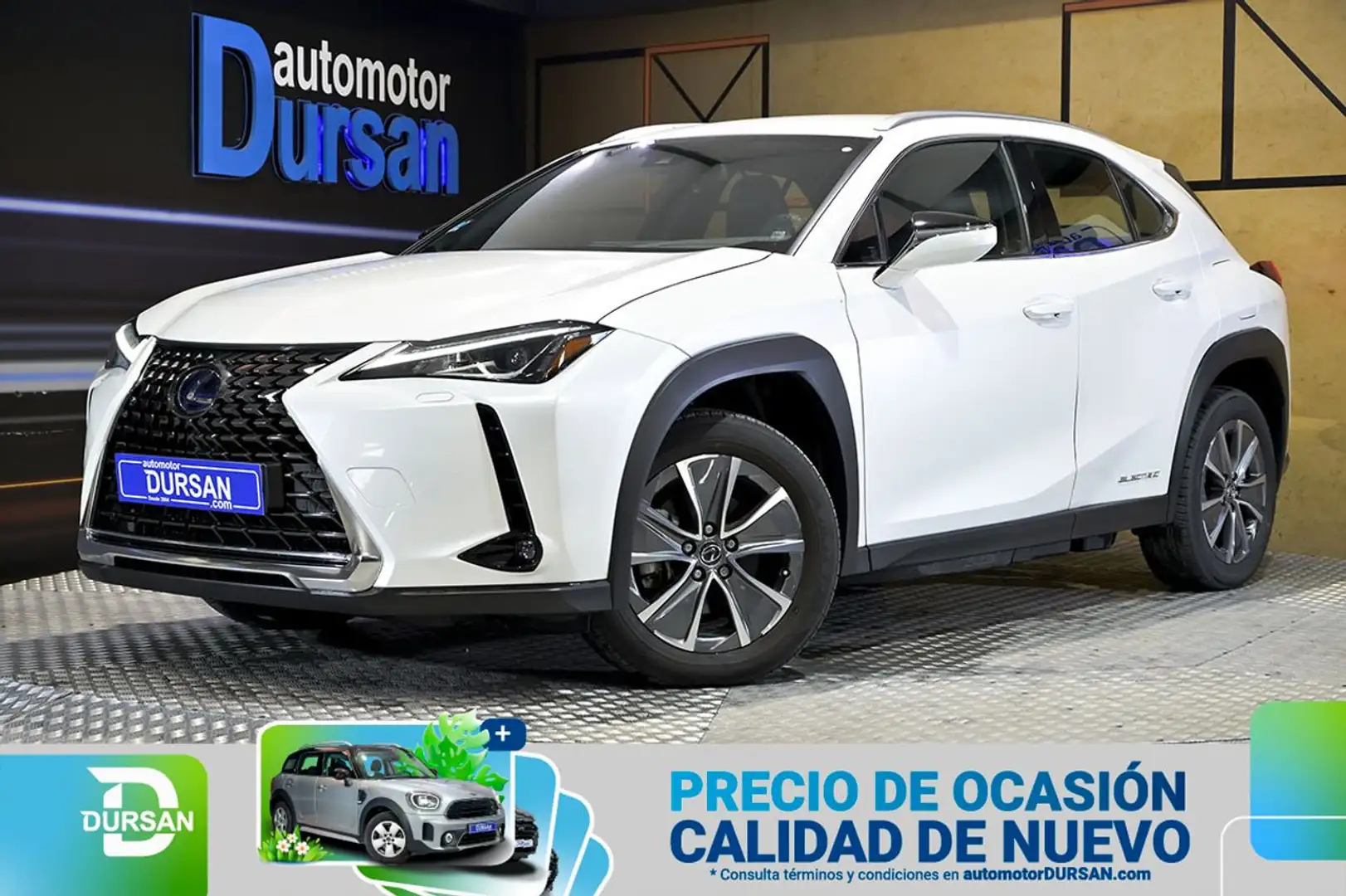 Lexus UX 300e Business Blanco - 1