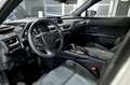 Lexus UX 300e Business Blanco - thumbnail 6
