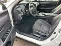 Lexus UX 250h Style Edition ACC FLA LM LED Bianco - thumbnail 8