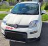 Fiat Panda Panda 4x4 1,3 Multijet II 75 Easy Steyr Sonderm. Weiß - thumbnail 1
