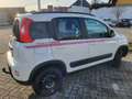 Fiat Panda Panda 4x4 1,3 Multijet II 75 Easy Steyr Sonderm. Weiß - thumbnail 2