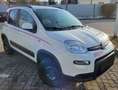 Fiat Panda Panda 4x4 1,3 Multijet II 75 Easy Steyr Sonderm. Weiß - thumbnail 3