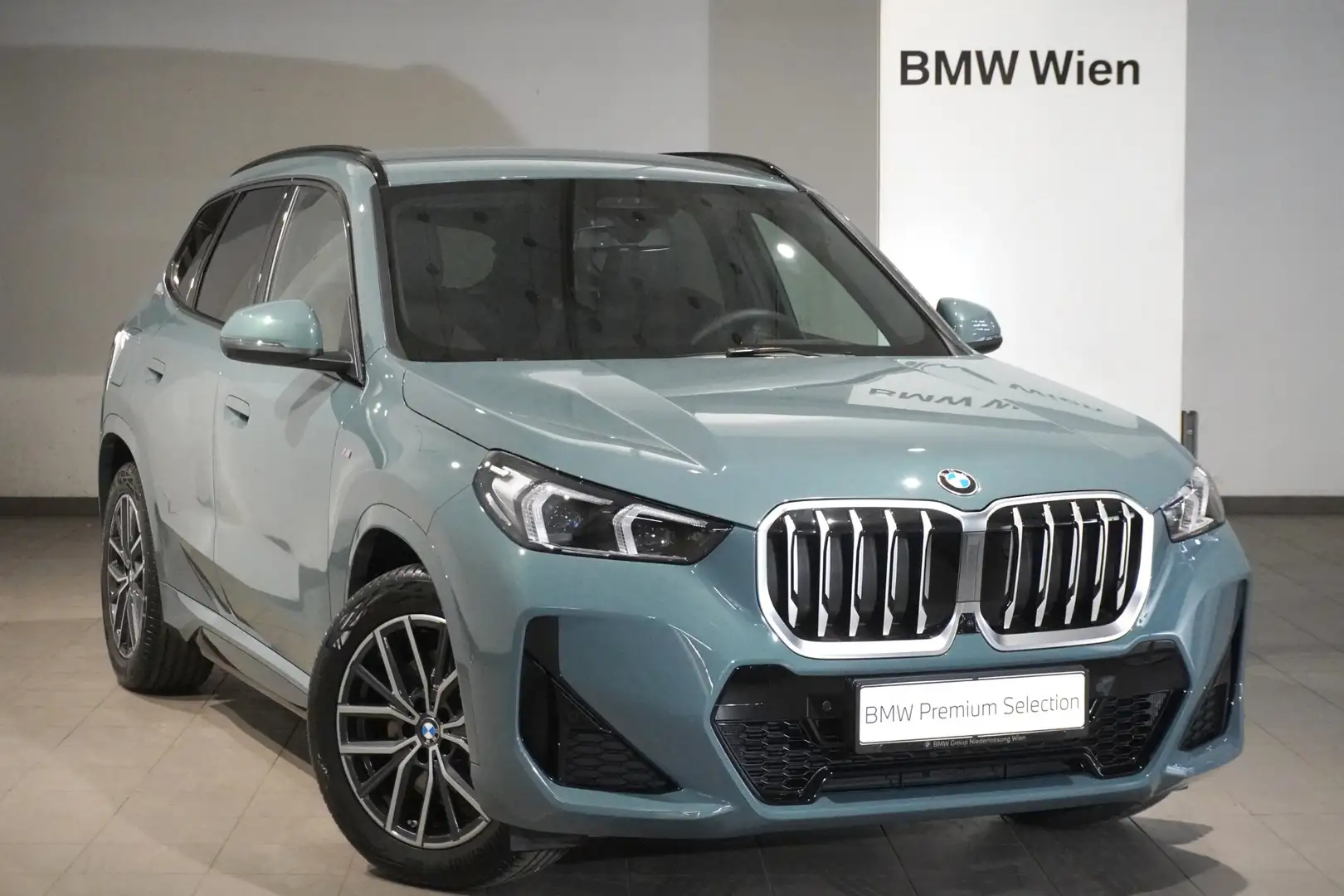 BMW X1 xDrive23d Grün - 1