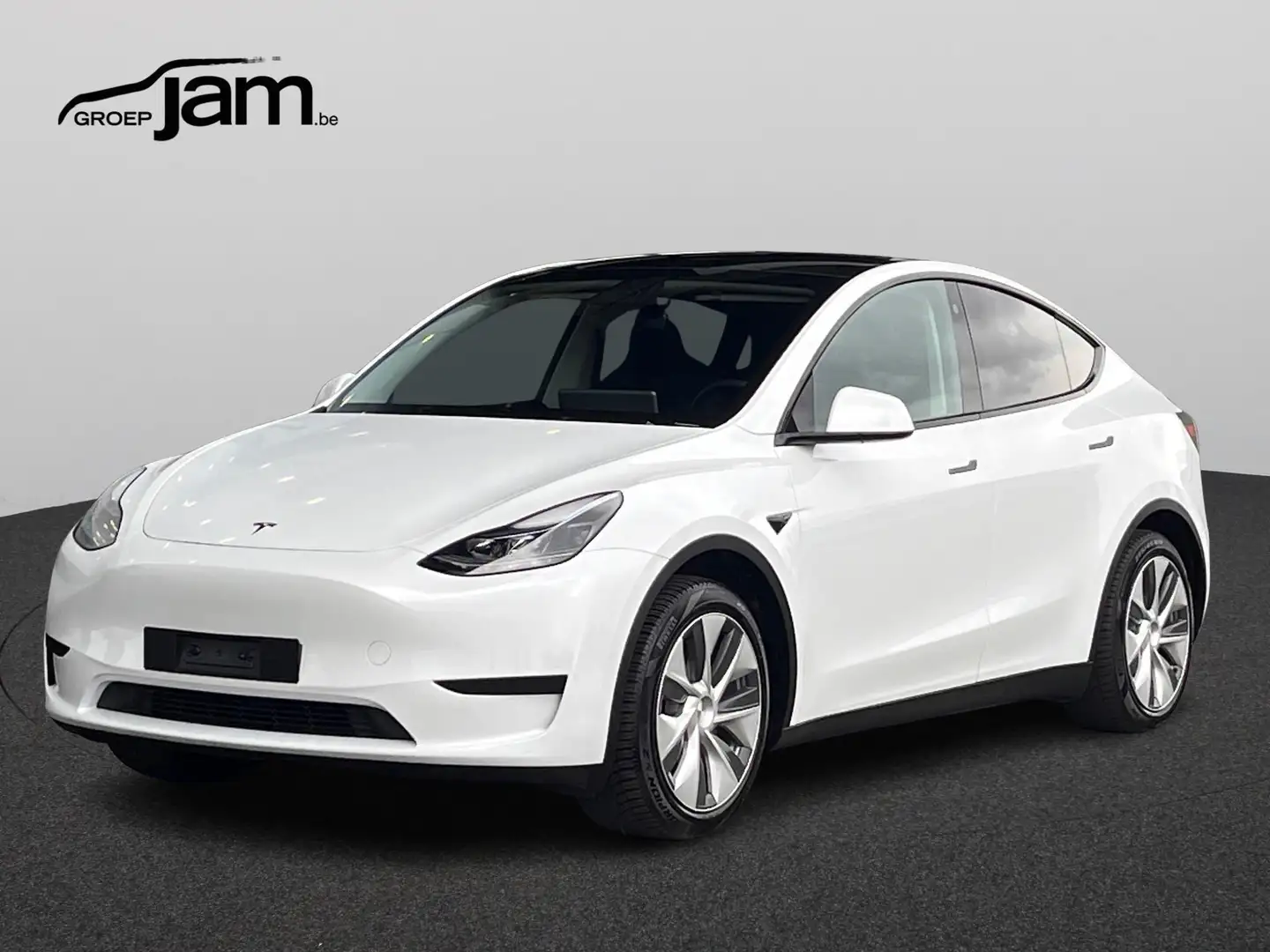 Tesla Model Y Long Range RWD Blanc - 1