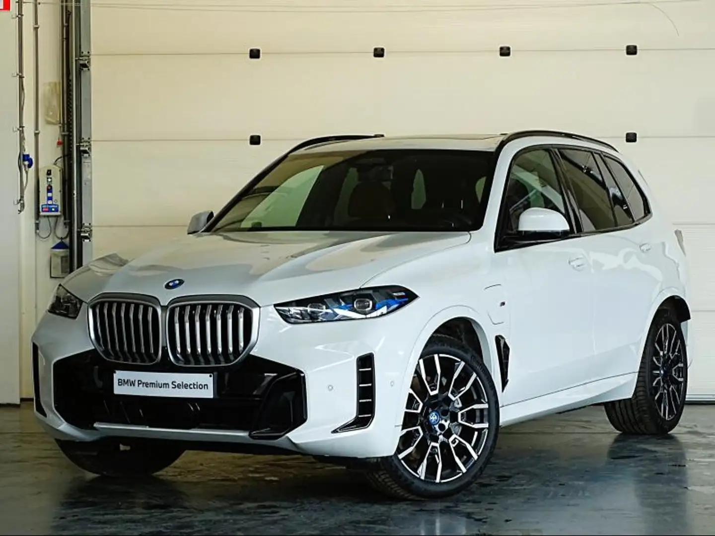 BMW X5 M SPORT - PANODAK - HARMAN-KAR Wit - 1