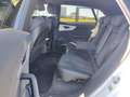 Audi Q8 50 TDI q. Tiptr. S-Line 2x, HD Matrix, B&O, L Bianco - thumbnail 12