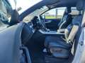 Audi Q8 50 TDI q. Tiptr. S-Line 2x, HD Matrix, B&O, L Bianco - thumbnail 8