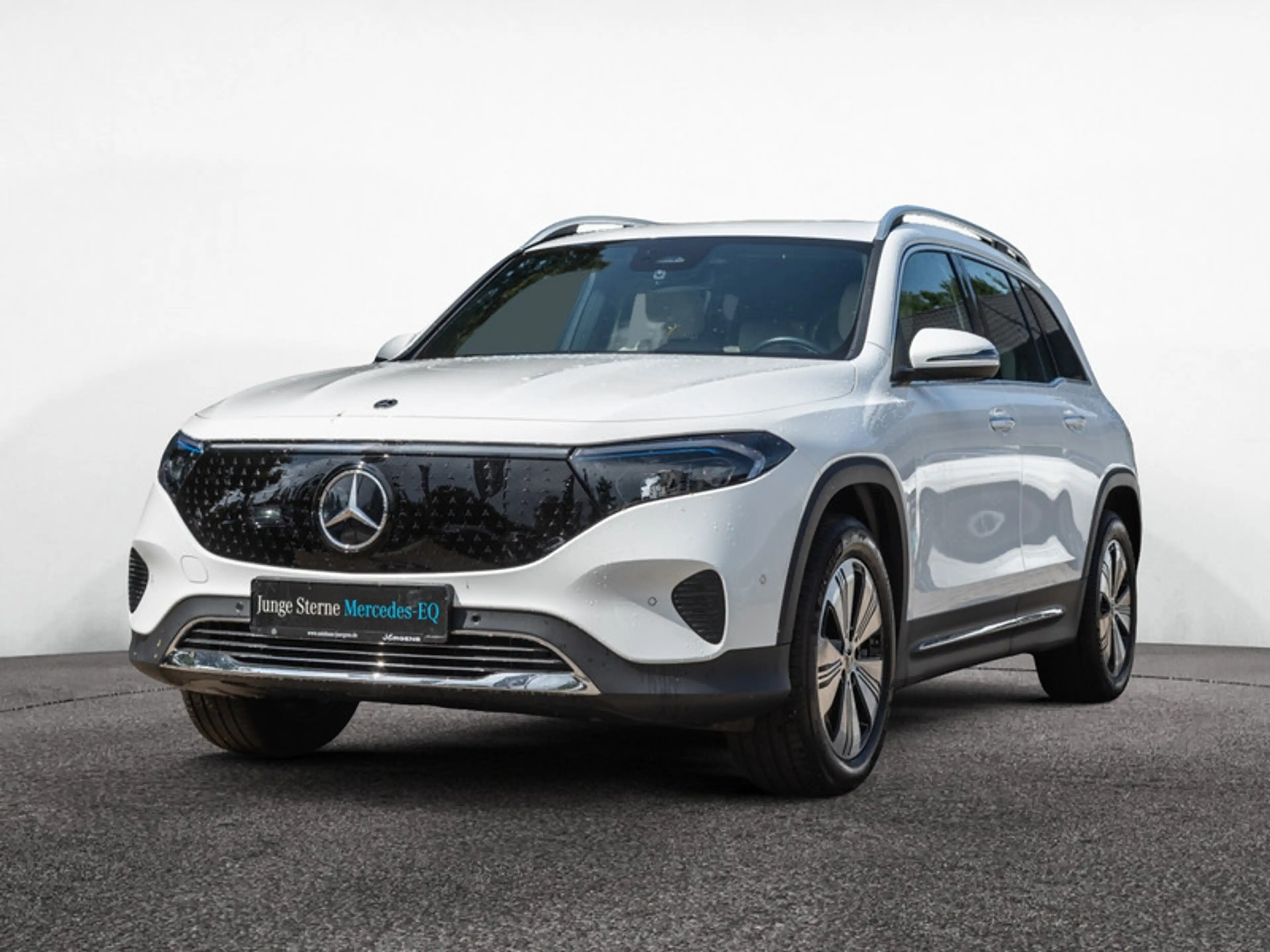 Mercedes-Benz EQB 350 4M Progressive/LED/Cam/AHK/Totw/Beige/18 — photo 2