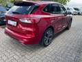 Ford Kuga ST-Line X PHEV Rood - thumbnail 11