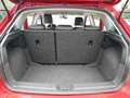 SEAT Ibiza 1.0 TSI FR NAVI+LED+ACC+ALCANTARA+18Z.ALU Rot - thumbnail 20