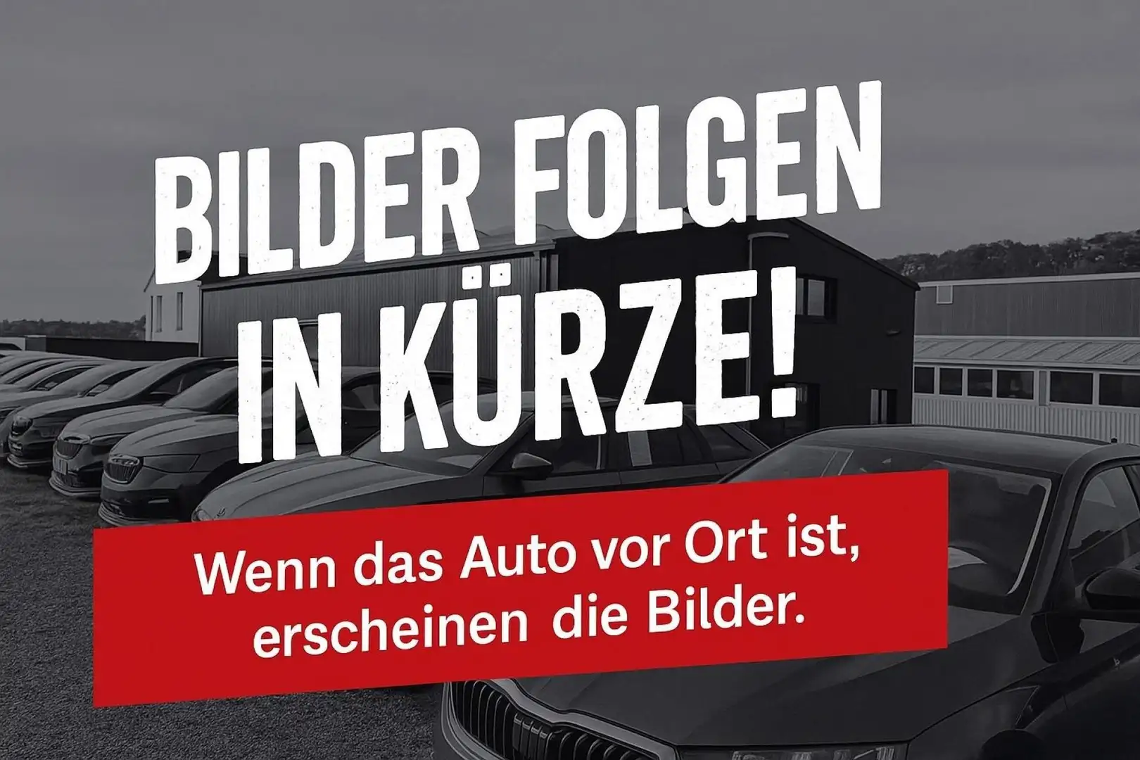 Skoda Karoq Sportline 2,0 TSI 4x4 DSG 2ZKlimaautomatik Cant... Grau - 1