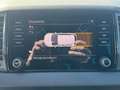 Skoda Karoq Sportline 2,0 TSI 4x4 DSG 2ZKlimaautomatik Cant... Grau - thumbnail 19