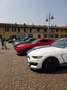 Ford Mustang SHELBY GT350 - NO SUPERBOLLO Bianco - thumbnail 1