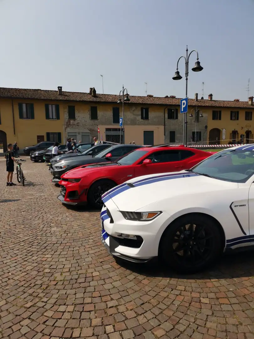 Ford Mustang SHELBY GT350 - NO SUPERBOLLO Bianco - 1