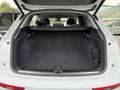 Audi Q5 40 TDI 204 CV quattro S tronic Business Advanced Blanco - thumbnail 9