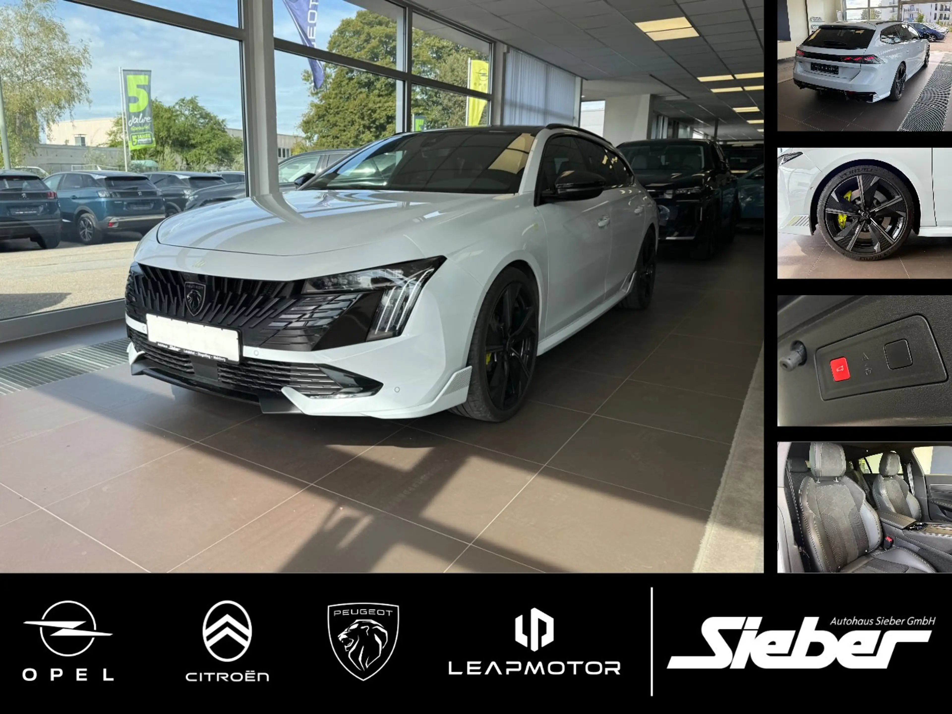 Peugeot 508 SW PSE Anhängerkupplung | Schiebedach