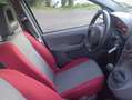Fiat Panda Fiat Panda 1.2 4x4 104000 KM BEN TENUTA Grigio - thumbnail 11