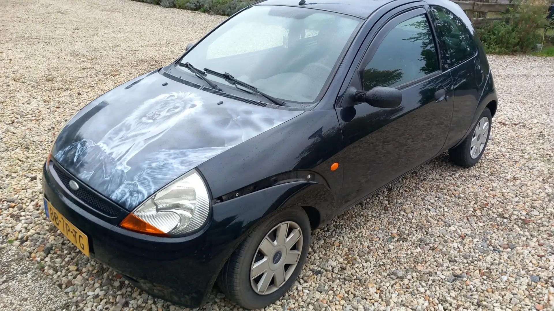 Ford Ka/Ka+ 1.3 Futura Schwarz - 2