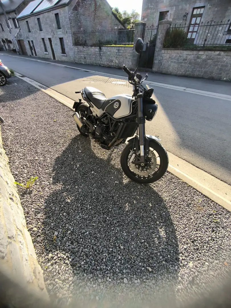 Benelli Leoncino Zilver - 2