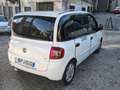 Fiat Multipla 1.9 mjt White - thumbnail 4