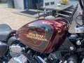 Harley-Davidson Sportster XL 1200V Seventy-Two- NL motor - thumbnail 5