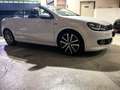 Volkswagen Golf VI Cabriolet Lounge BMT Bi-Xenon Weiß - thumbnail 5