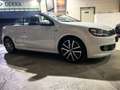 Volkswagen Golf VI Cabriolet Lounge BMT Bi-Xenon Weiß - thumbnail 6