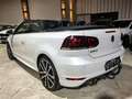 Volkswagen Golf VI Cabriolet Lounge BMT Bi-Xenon Weiß - thumbnail 4