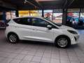 Ford Fiesta Ford Fiesta Trend 1.1*Sitzh.*Temp.*Klima* Weiß - thumbnail 4
