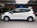 Ford Fiesta Ford Fiesta Trend 1.1*Sitzh.*Temp.*Klima* Weiß - thumbnail 8