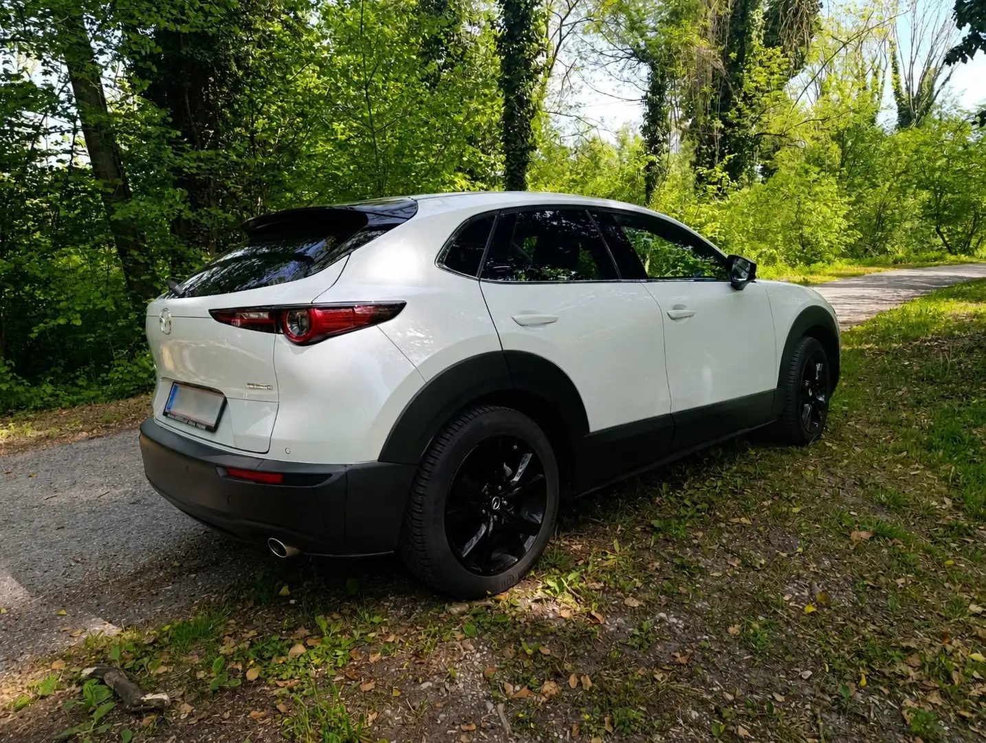 Mazda CX-30 Nagisa 2WD Leasingübernahme möglich Weiß - 2