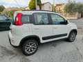 Fiat Panda Panda III 2012 4x4 1.3 mjt 16v Trekking Wit - thumbnail 5