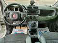 Fiat Panda Panda III 2012 4x4 1.3 mjt 16v Trekking Wit - thumbnail 12