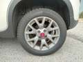 Fiat Panda Panda III 2012 4x4 1.3 mjt 16v Trekking Wit - thumbnail 9